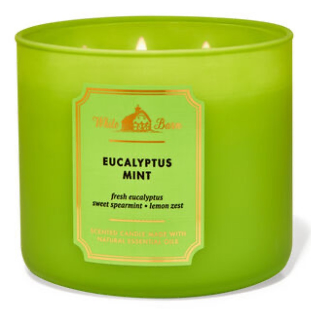 Bath & Body Works Eucalyptus Mint Candle